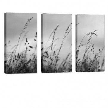 Blades Of Grass Leinwandbild 3x 40x80cm