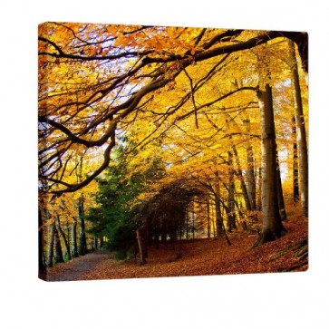 Autumn Feeling Leinwand Druck 80x80cm