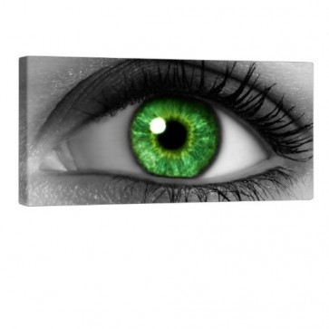 Green Eye Leinwandbild 100x50cm