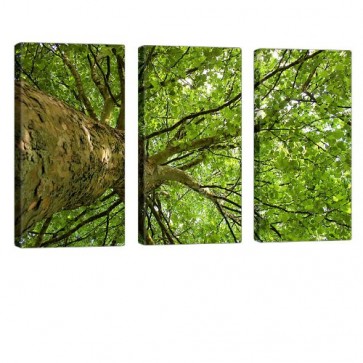 Gigantic Green Leinwand Bild 3x 40x80cm