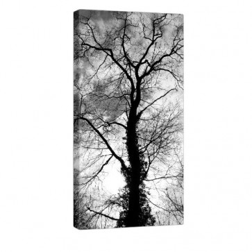 Tree Shape Leinwandbilb 50x100cm