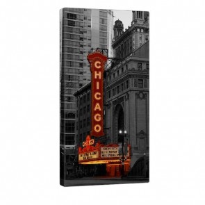 Theatre Of Chicago Leinwand Bild 50x100cm