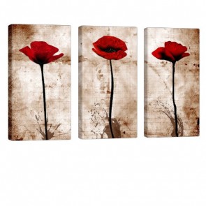 Abstract Poppy Leinwandbild 3x 40x80cm ebay