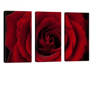 So Red Leinwand Bild 3x 40x80cm
